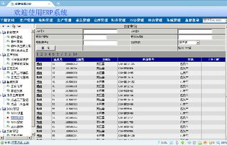 變壓器工廠ERP系統(tǒng)全攻略 價(jià)格、廠家、圖片與軟件開發(fā)詳解